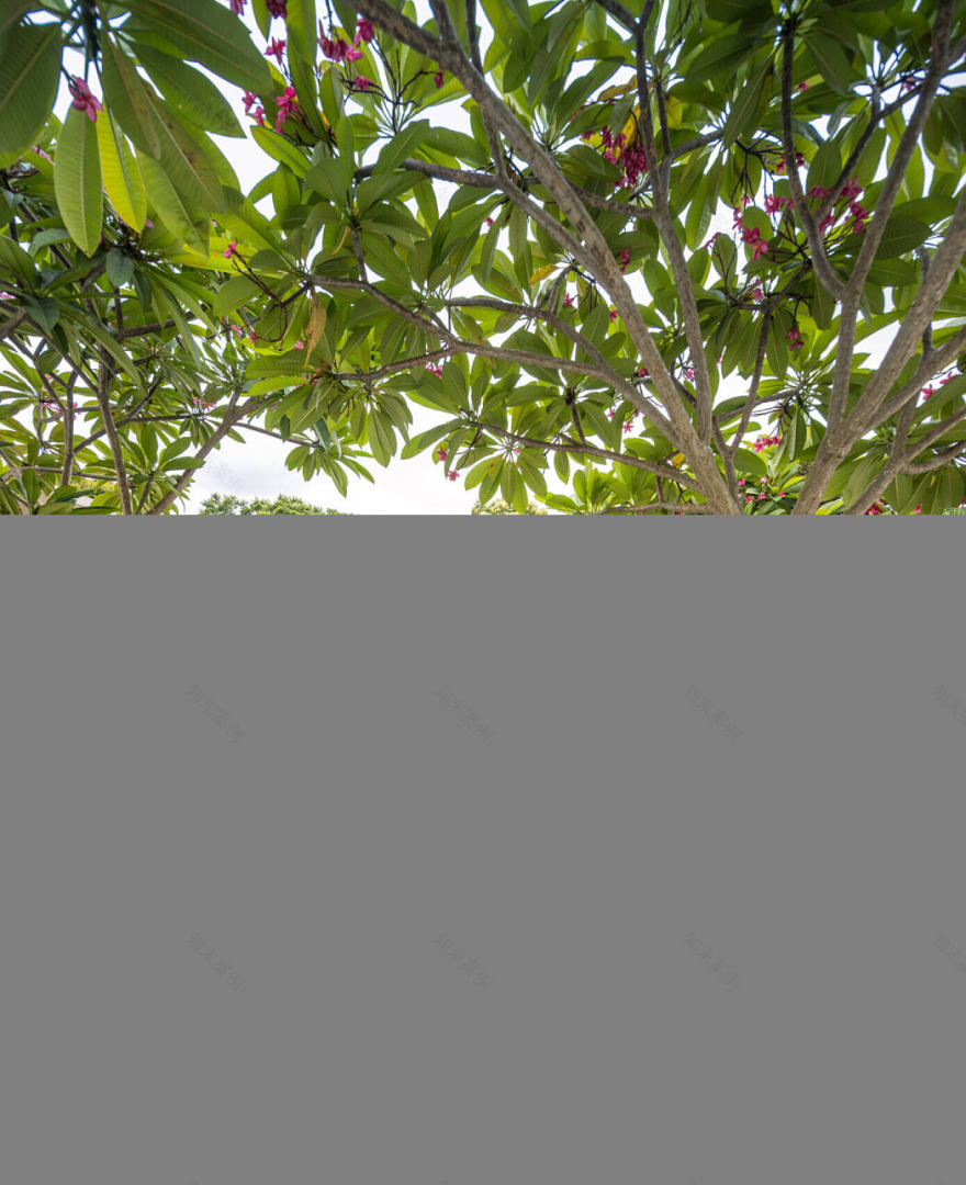 巴西私人花园别墅,汉萨 aki 景观设计-2