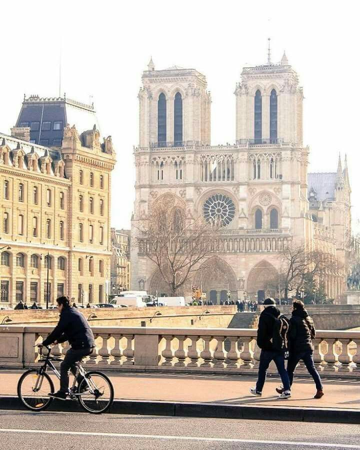 左岸不再沉睡：一条会涨潮的河，怎样重塑巴黎的日常？-76