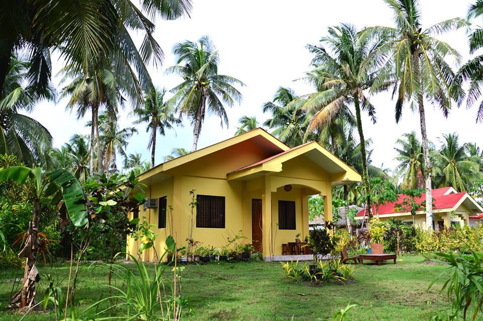 黄色小房子设计案例-30