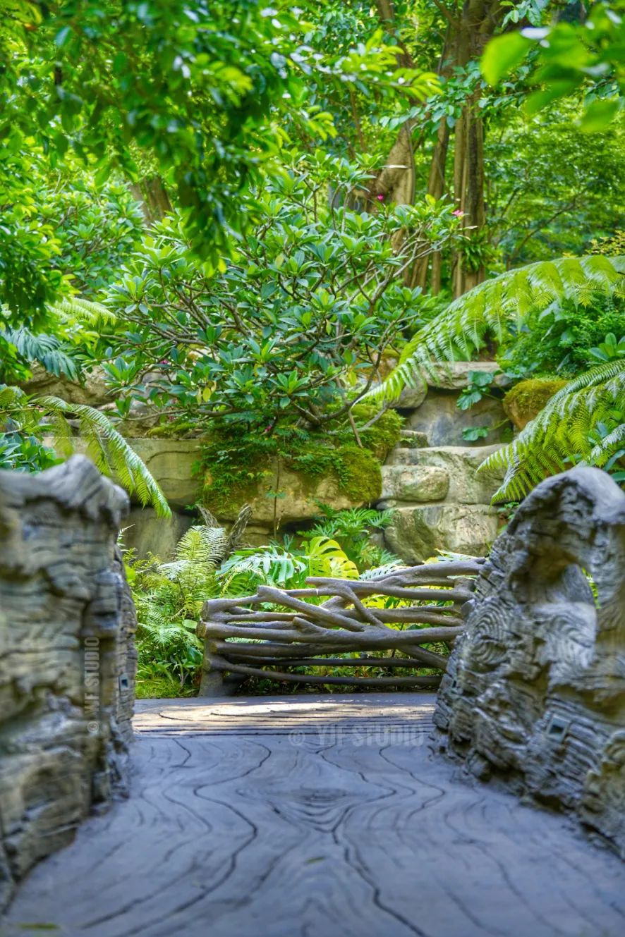 广州云萝植物园丨中国广州丨广州普邦园林股份有限公司-13