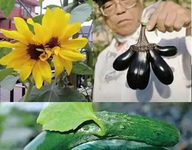 《Science》公布的 125 个最具挑战性的科学问题,你感兴趣的是哪个?-214