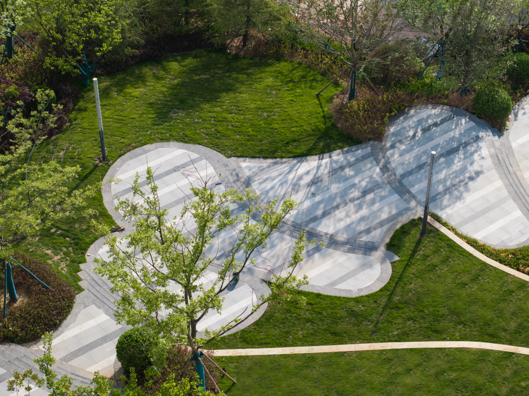 捷报▏青岛海岸线再添新地标！世茂悦海以自然之名，塑写时代美学【实景呈现】-21