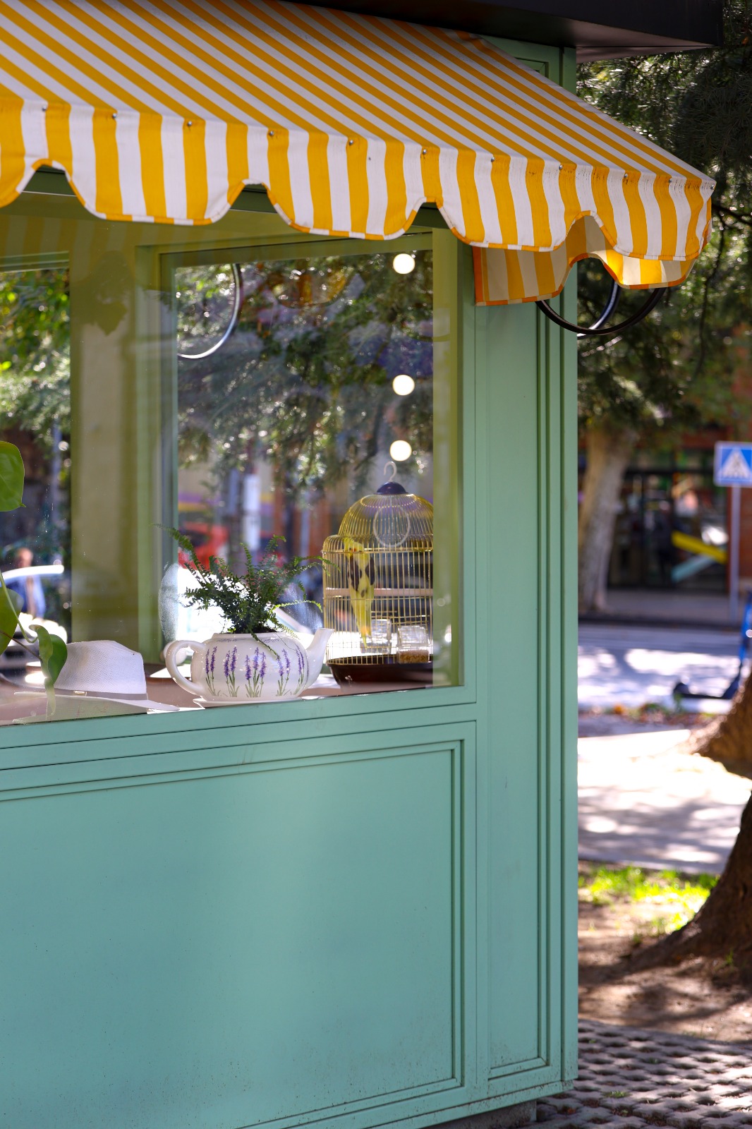 TIRAMISU | REAL PHOTOS-7