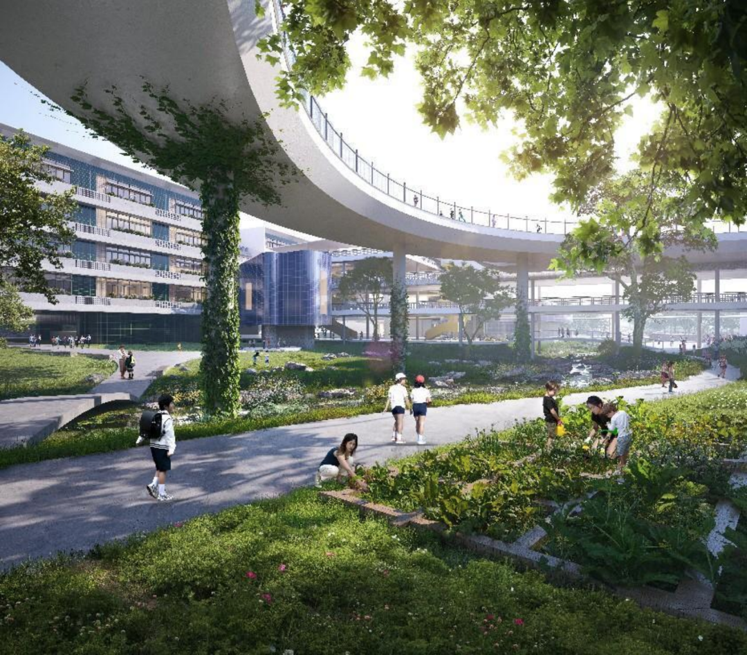 深圳龙岗山厦学校方案设计丨中国深圳丨刘宇扬建筑设计顾问（上海）有限公司-46