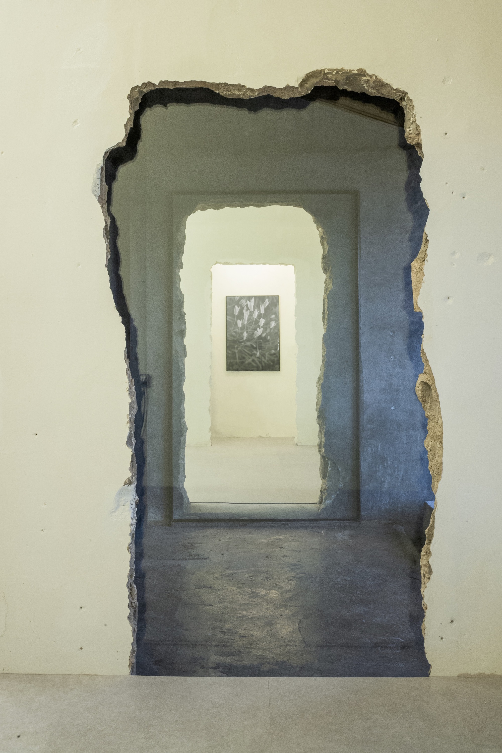 寿美屋丨韩国丨TCA-28