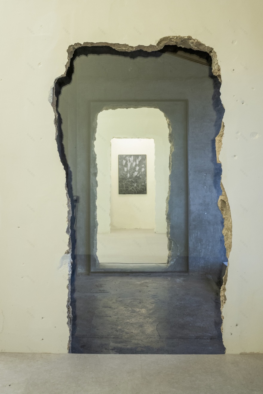 寿美屋丨韩国丨TCA-28