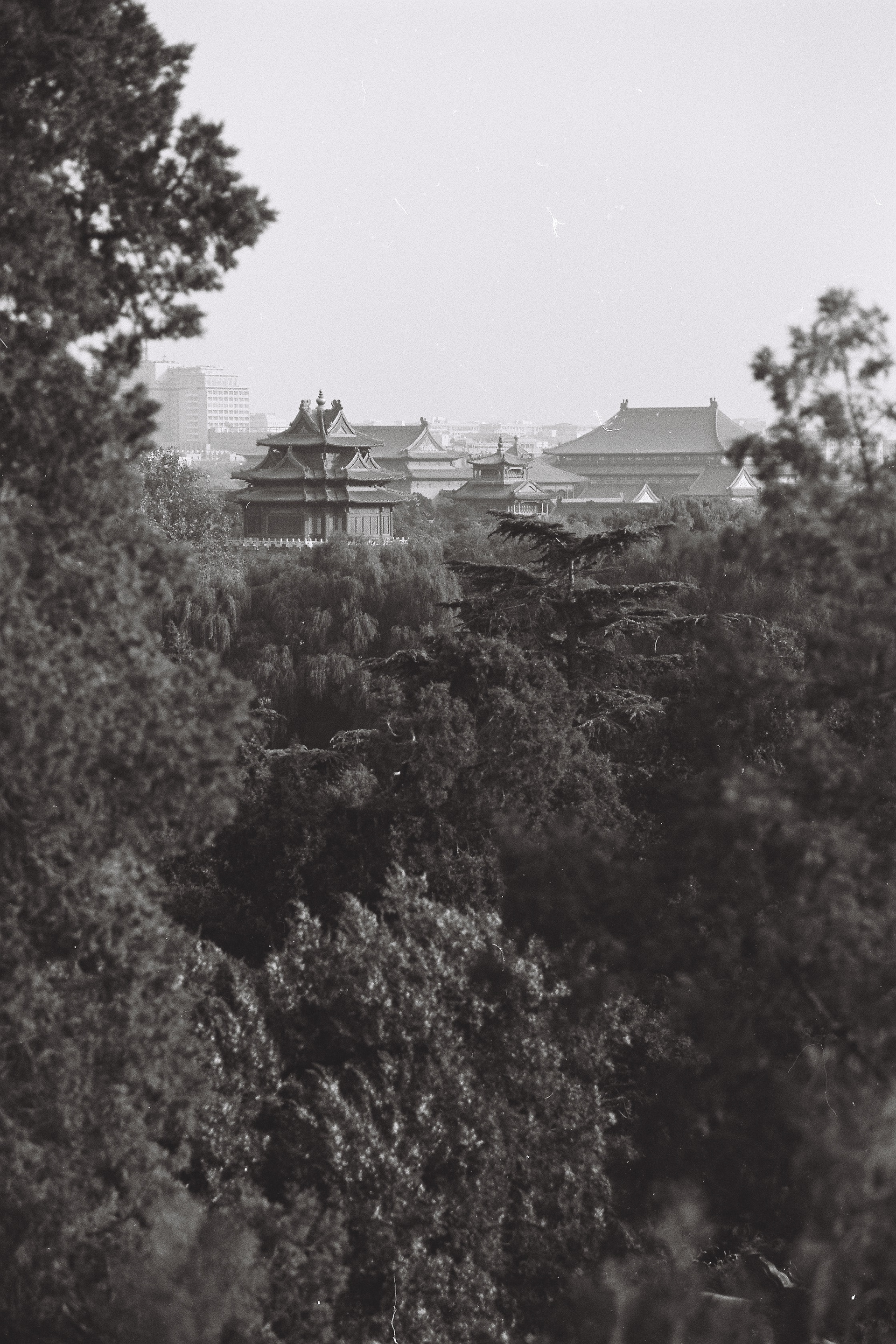 北京照片报道丨中国北京-3