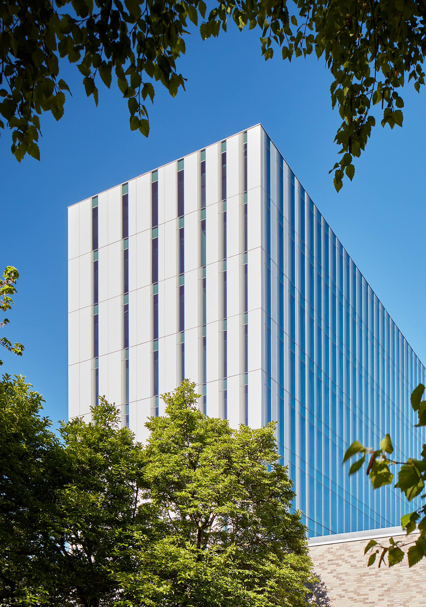 阿尔特迈尔联邦大楼丨马里丨Snow Kreilich Architects-28