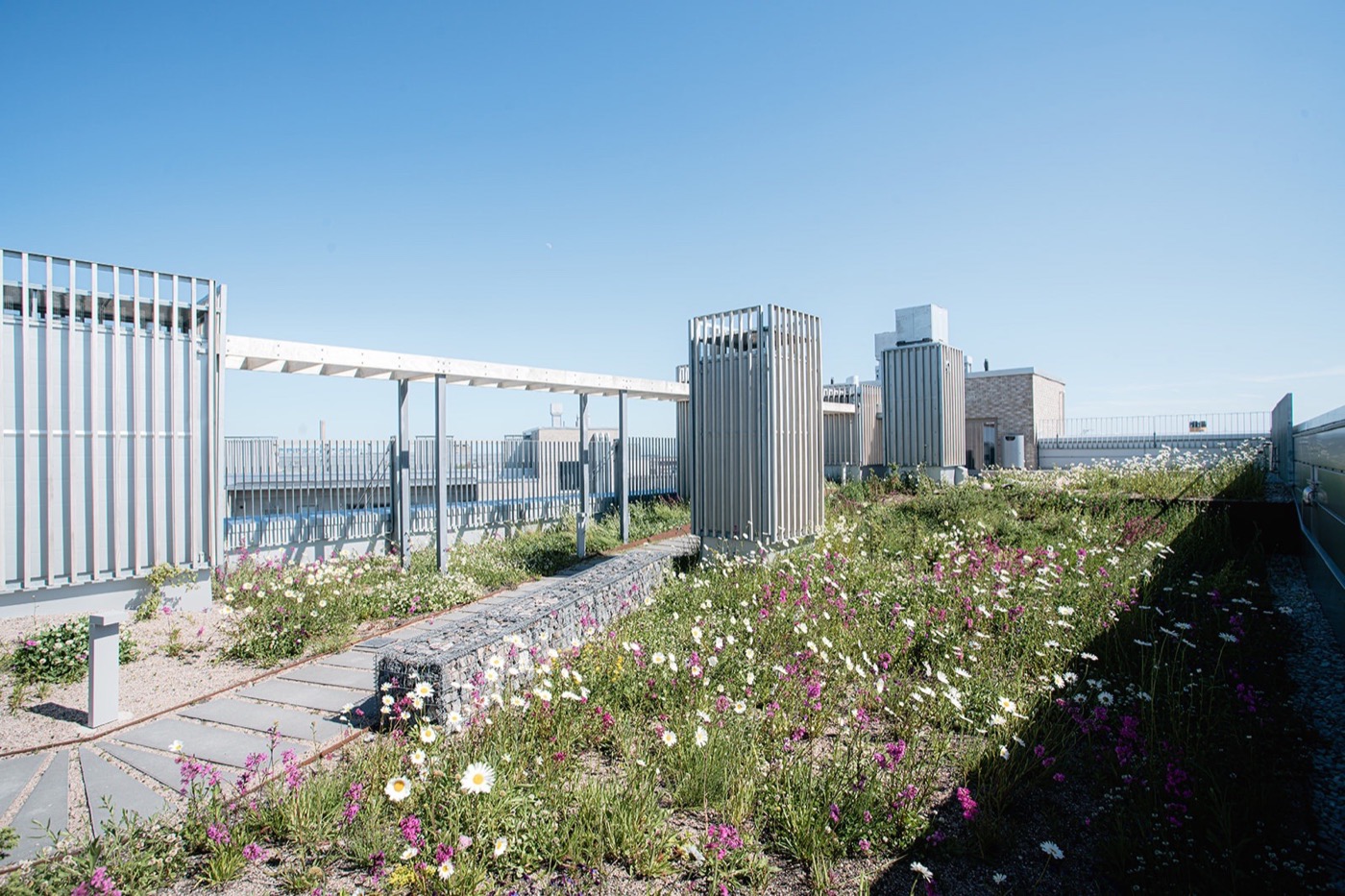 芬兰赫尔辛基绿色住宅区的生态设计探索-35