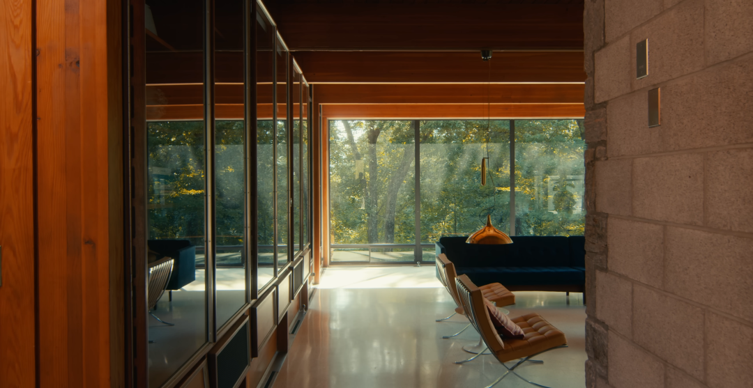 世界一隅|森林里的中世纪现代主义之家-15