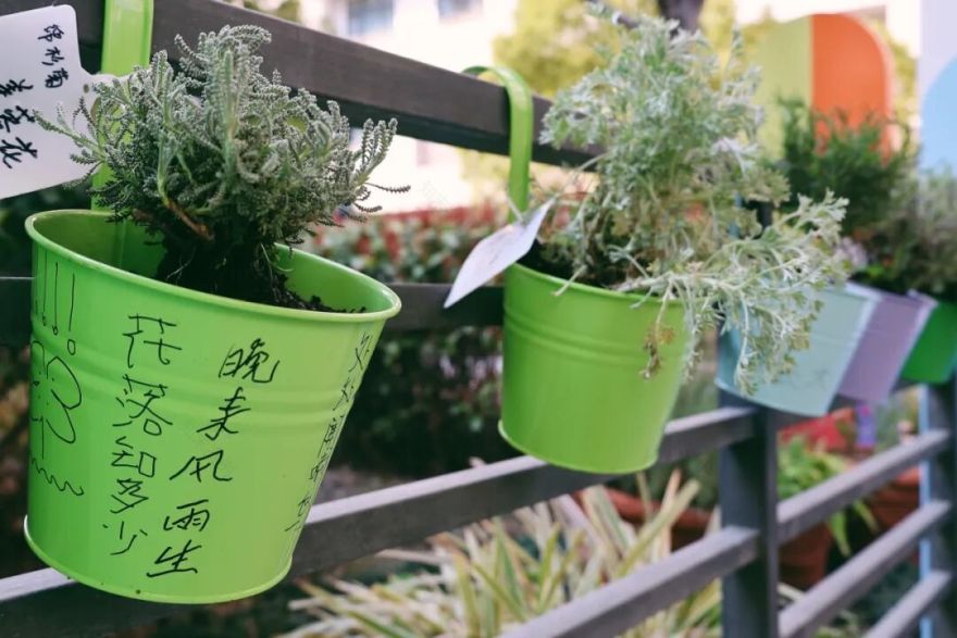 用植物疗愈时光,以设计重塑银龄价值|春日系列工作坊回顾-74