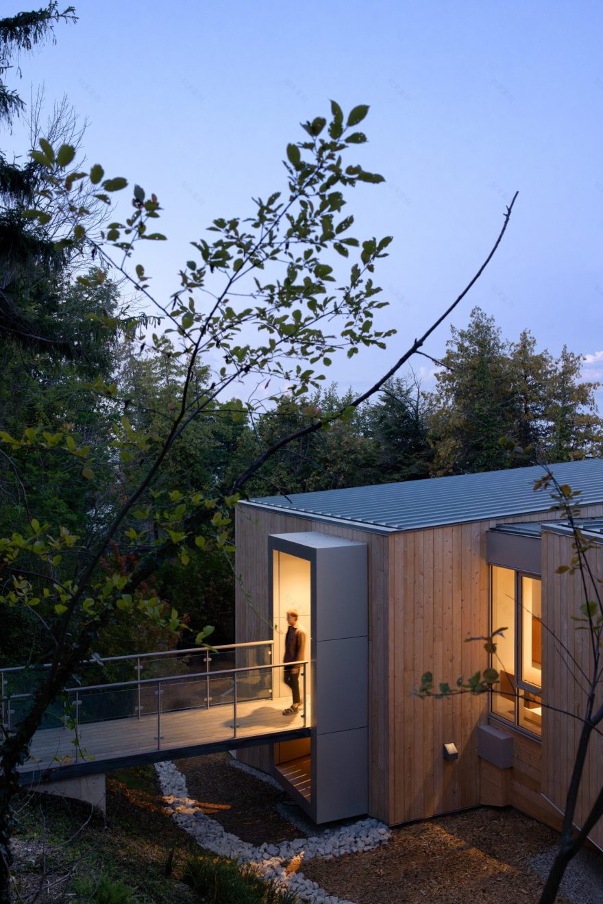 雪松家族;雪松亲属(注:Kin有家族;亲属等意思,结合语境Cedar(雪松),这里可这样理解,若有具体背景信息,可更精准翻译) 丨加拿大丨Omar Gandhi Architects-12