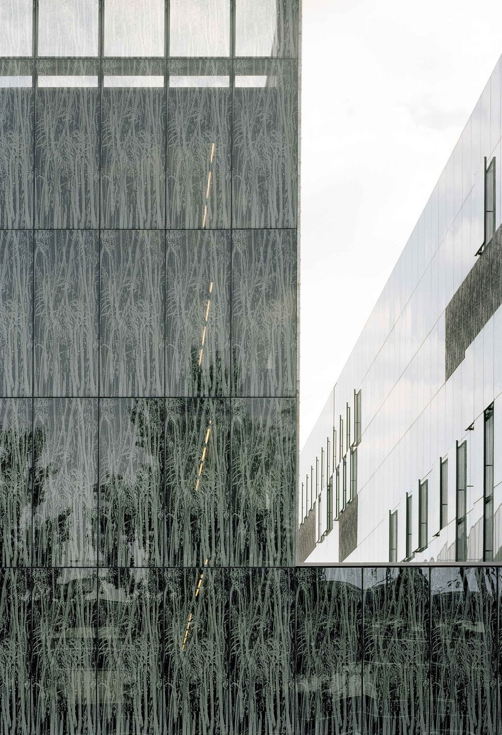 乌得勒支大学图书馆-12