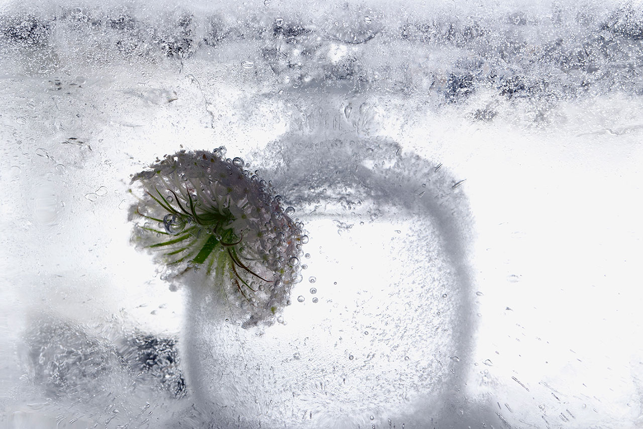 奇异梦境 | 摄影师 Namiko Kitaura 的艺术世界-47