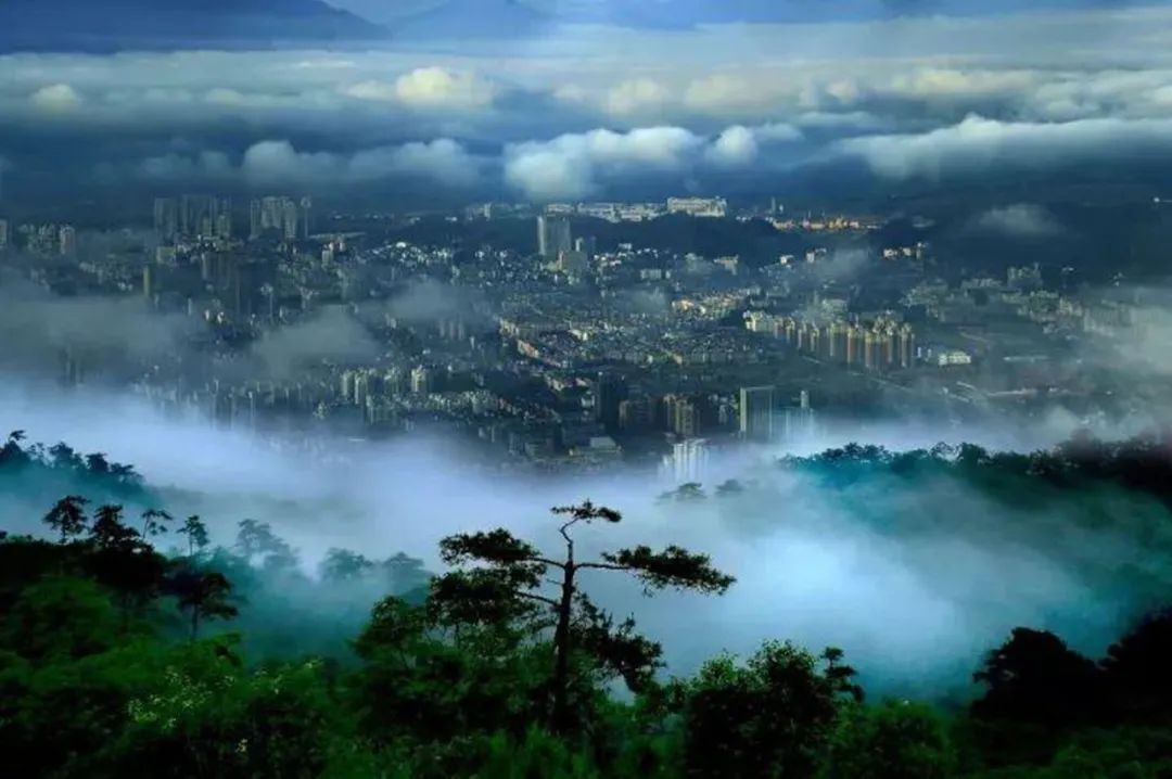 丽水桂语兰庭丨中国丽水丨ZSD卓时-16