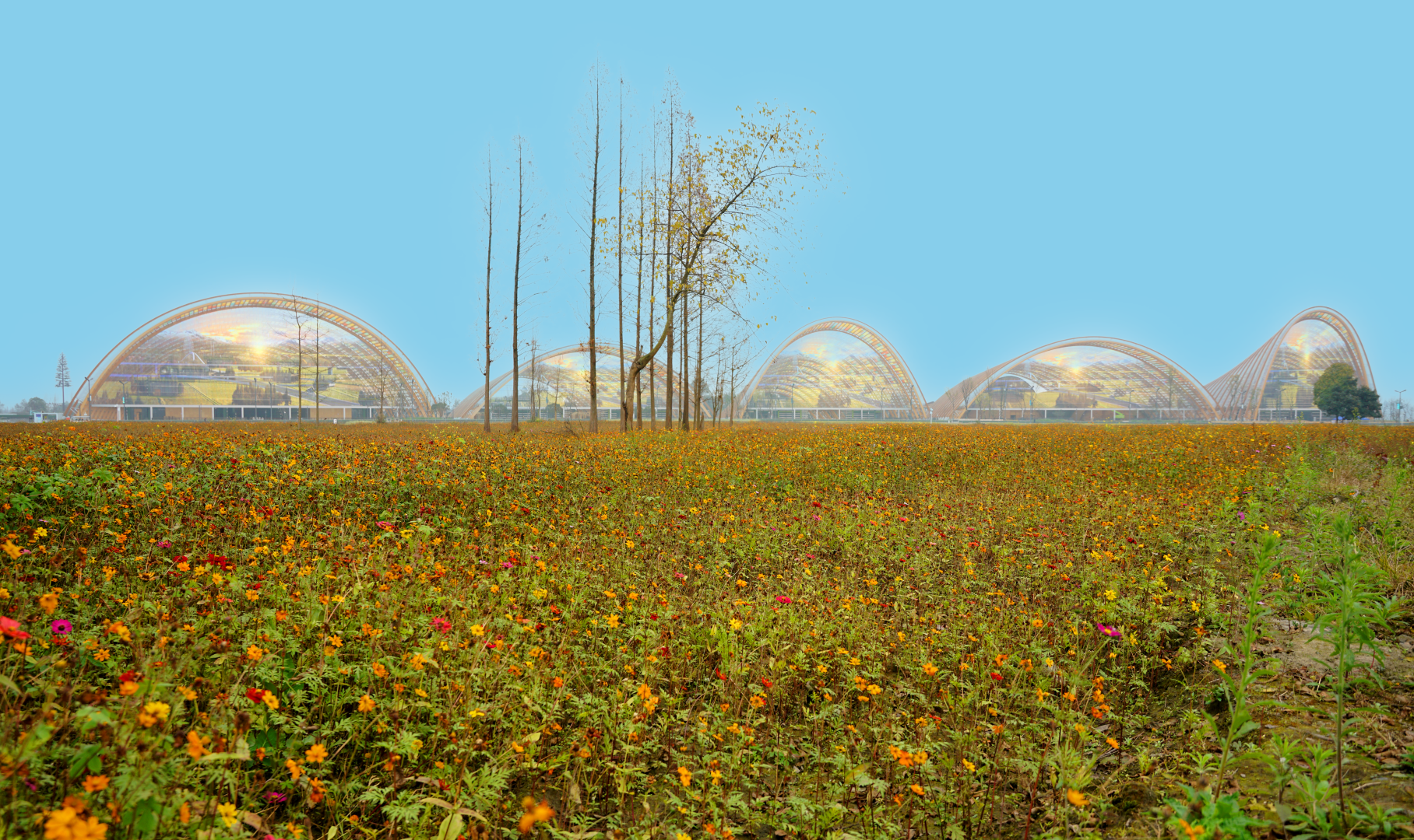 成都天府农业博览中心丨中国成都丨StructureCraft-23