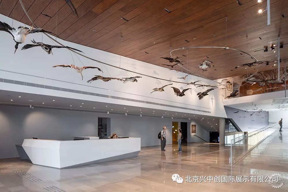 奇特的外立面中暗藏展品，这座博物馆处处充满惊喜-22