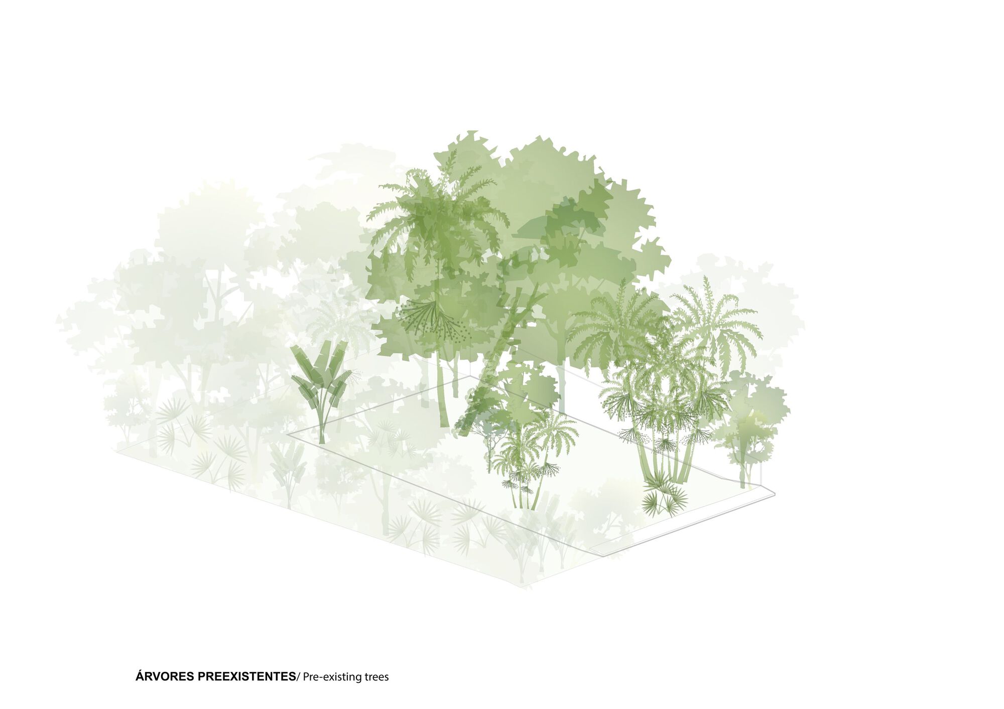 丨巴西丨Laurent Troost Architectures-54