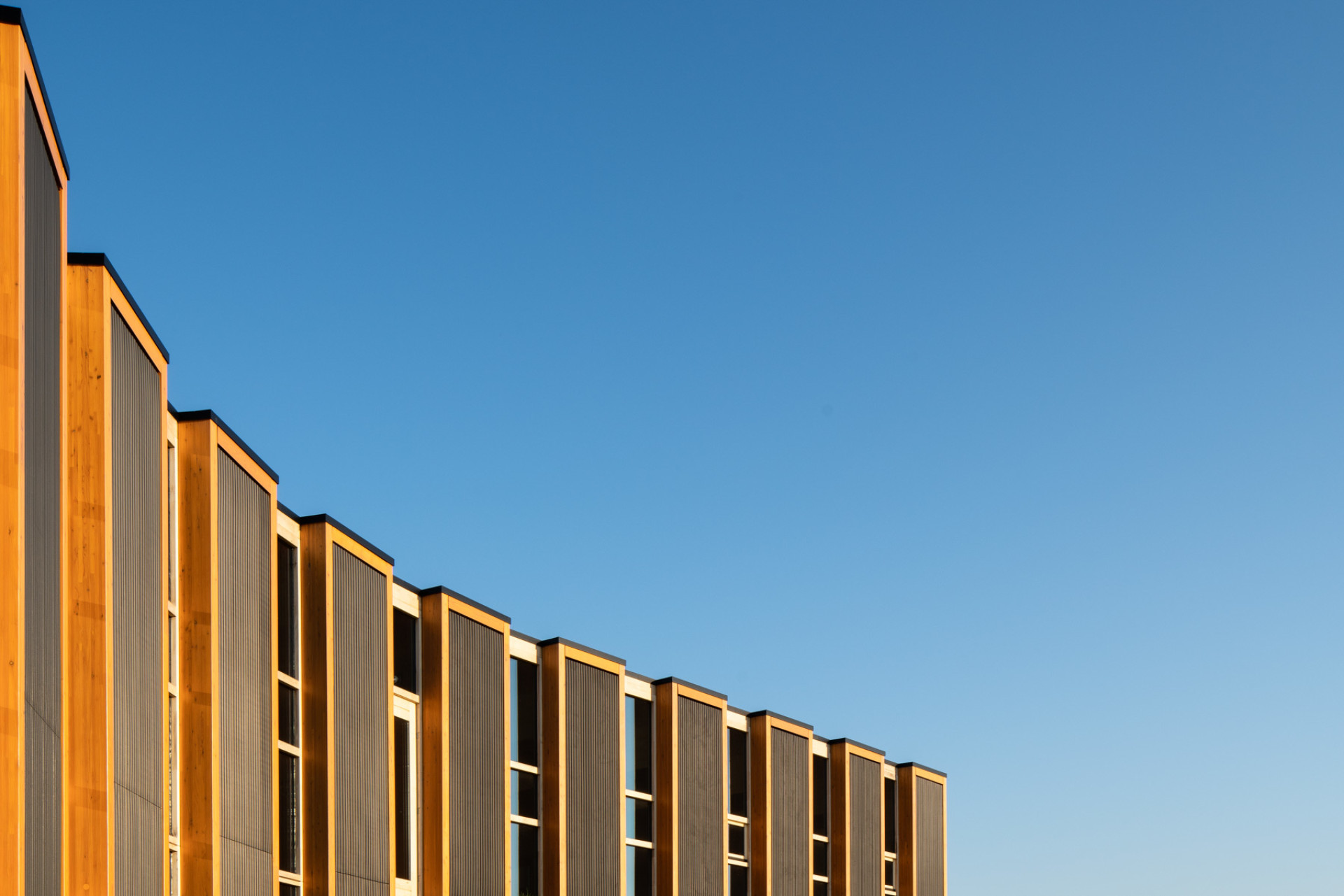 生物合成中心（注：由于Het Biosintrum可能是特定机构、场所等名称，这里Biosintrum推测是生物合成相关含义加上后缀构成的词，具体准确含义可能需结合更多背景信息确定 ） 丨Paul de Ruiter Architects-9