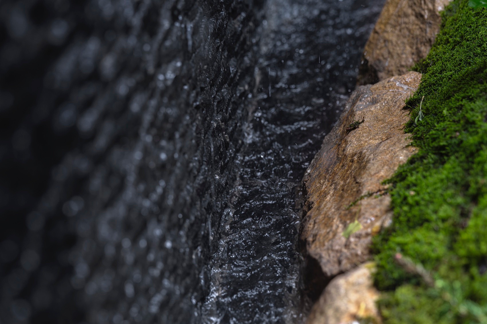 上海桃花源私庭营造丨中国上海丨墨刻丨無言斋造园-114