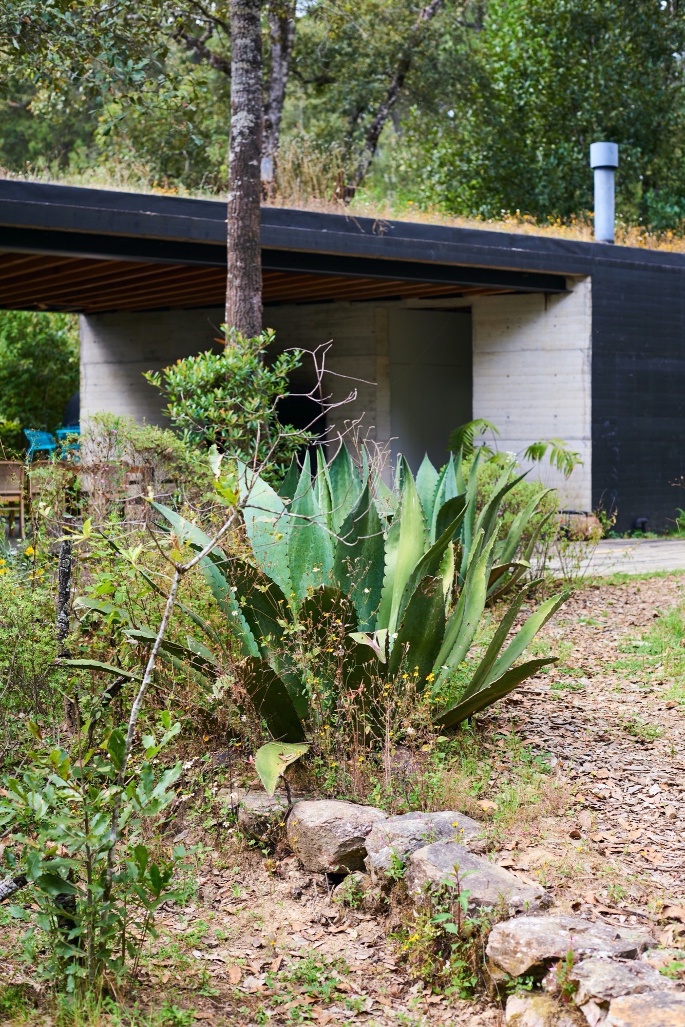 石线绿意 · 墨西哥 Reserva Peñitas 园林景观设计丨Estudio Ome-2