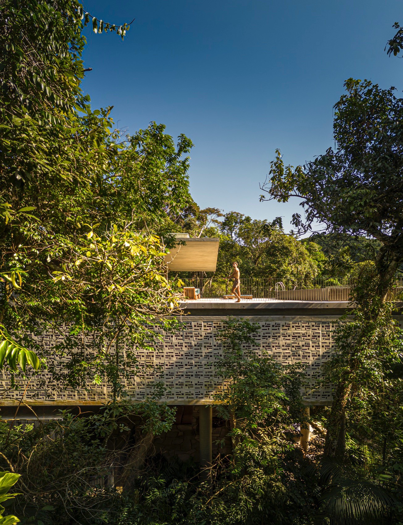 树冠住宅丨巴西圣保罗丨Studio mk27-30