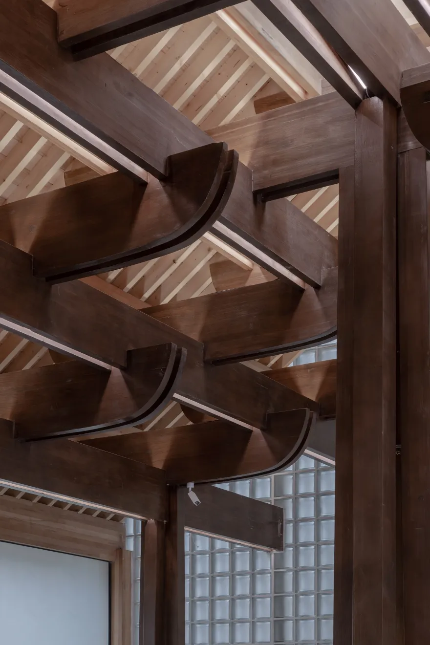 家族大厅 X·树下对真理的追寻-41