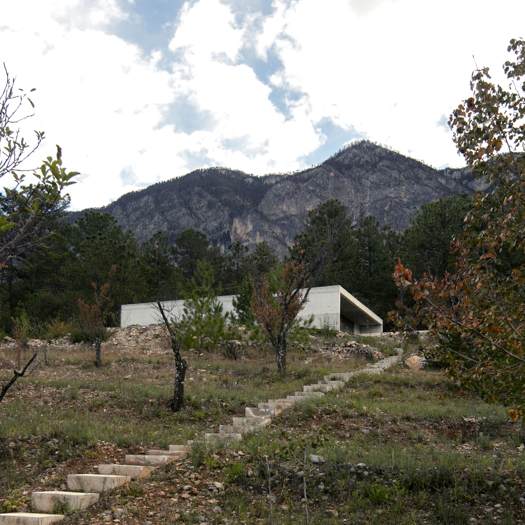 米拉多尔宅邸丨墨西哥丨SAR-10