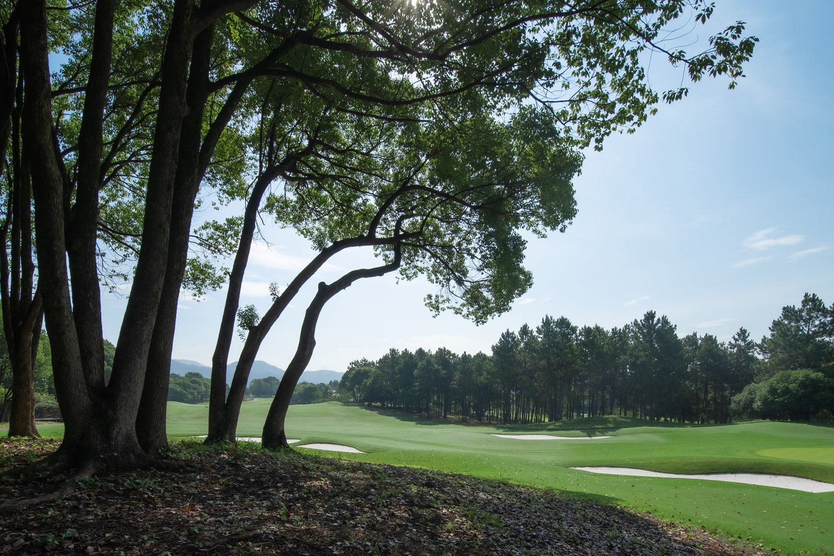 西湖高尔夫丨中国杭州丨NCD Studio 玖鹿设计-16