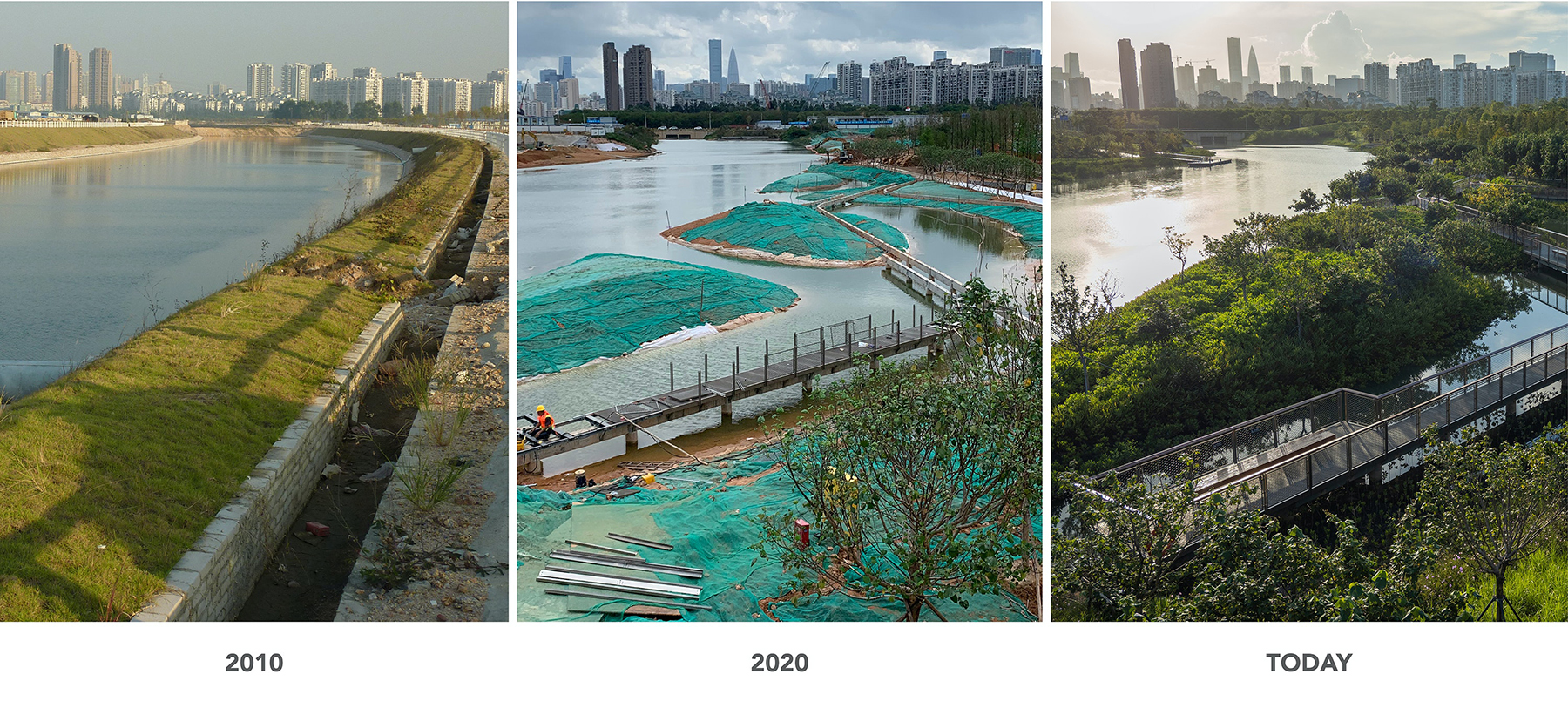 前海桂湾公园丨中国深圳丨FIELD OPERATIONS等多家单位及朱祥明团队-23