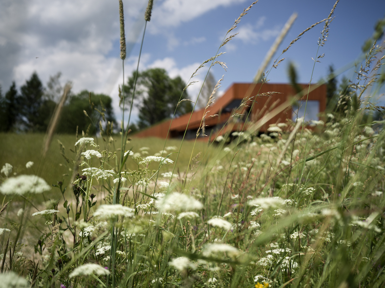 Bieszczady地区住宅项目丨AngolaBie-21