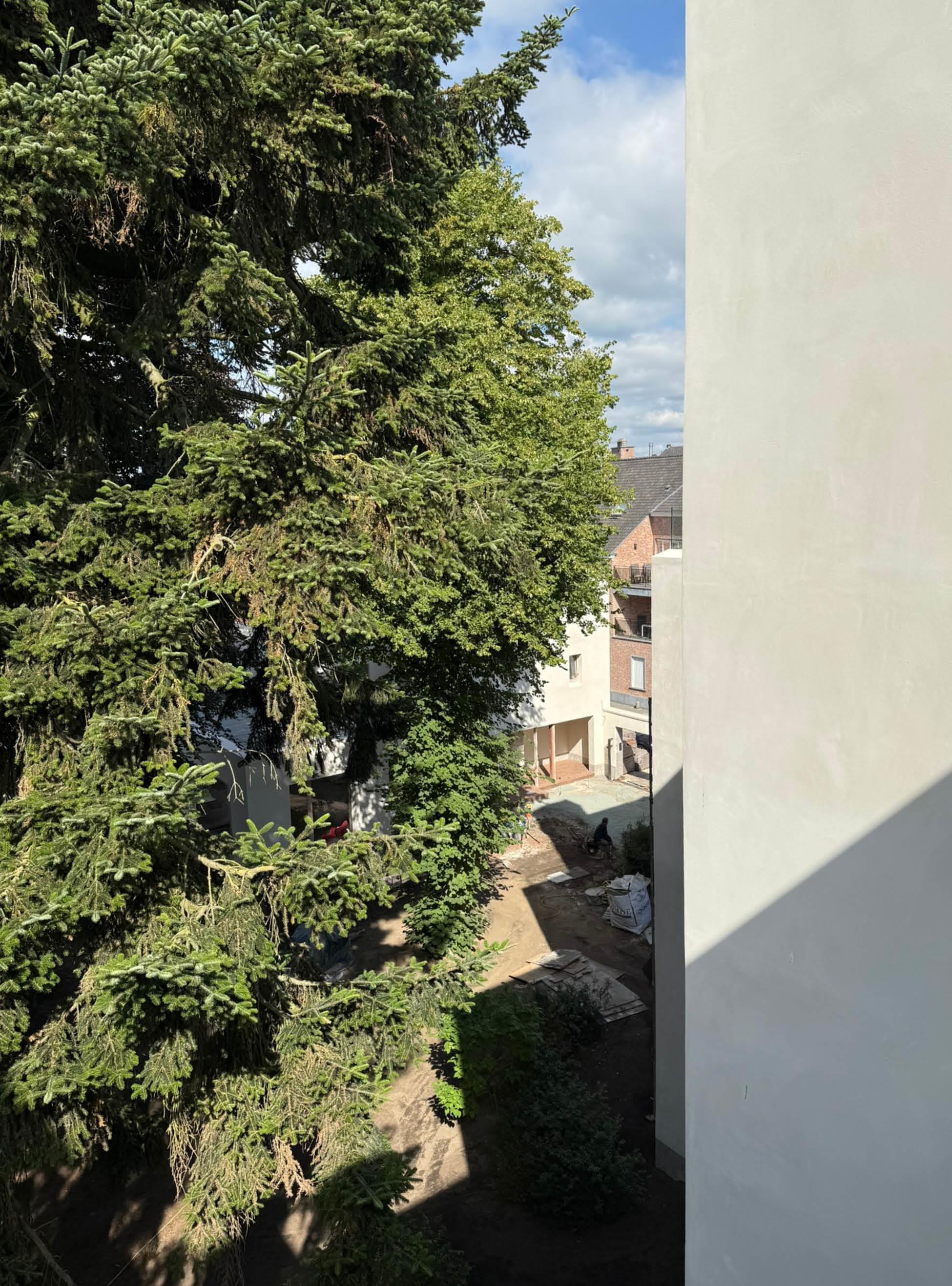 Driezen住宅项目丨Driezen,AIDarchitecten-18