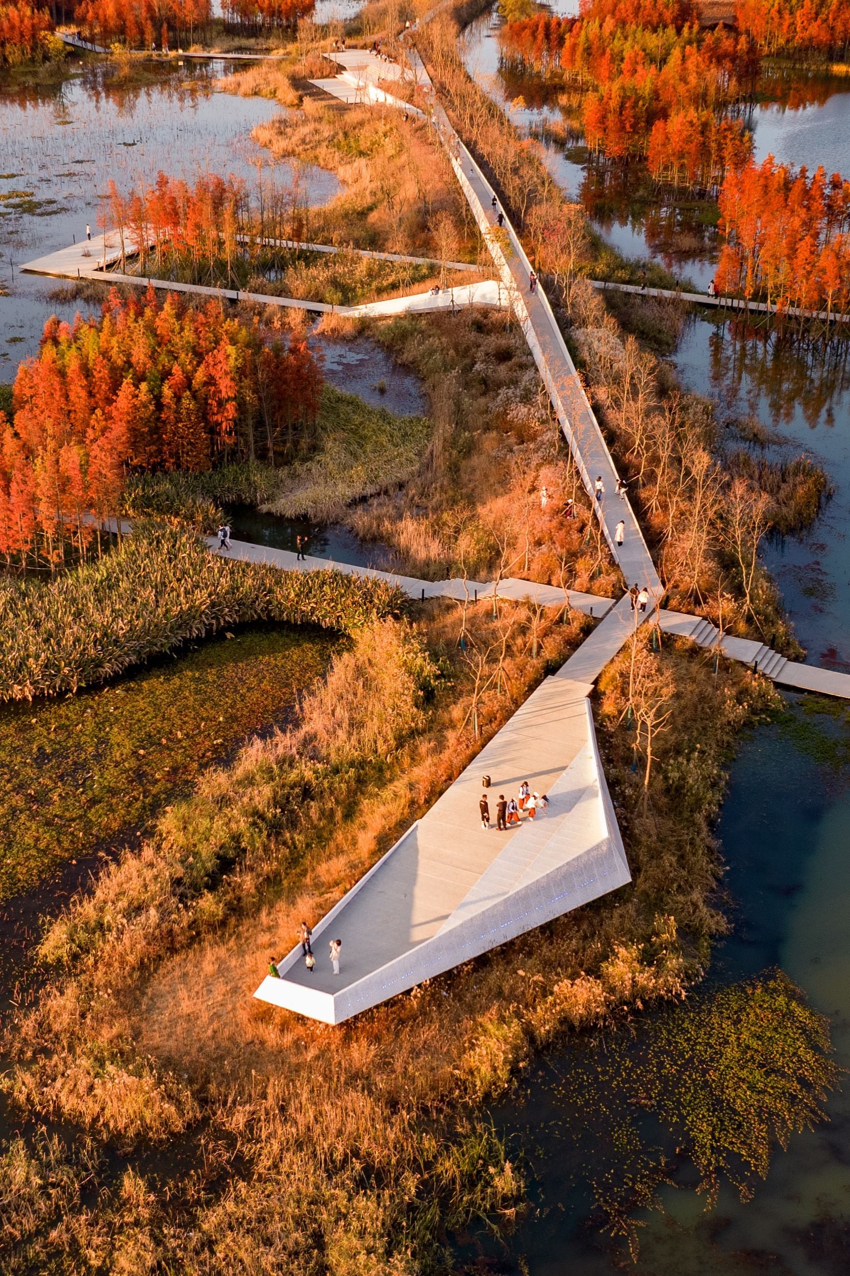 鱼尾巴公园（Fish Tail Park）丨中国南昌丨北京土人景观（Turenscape）-25