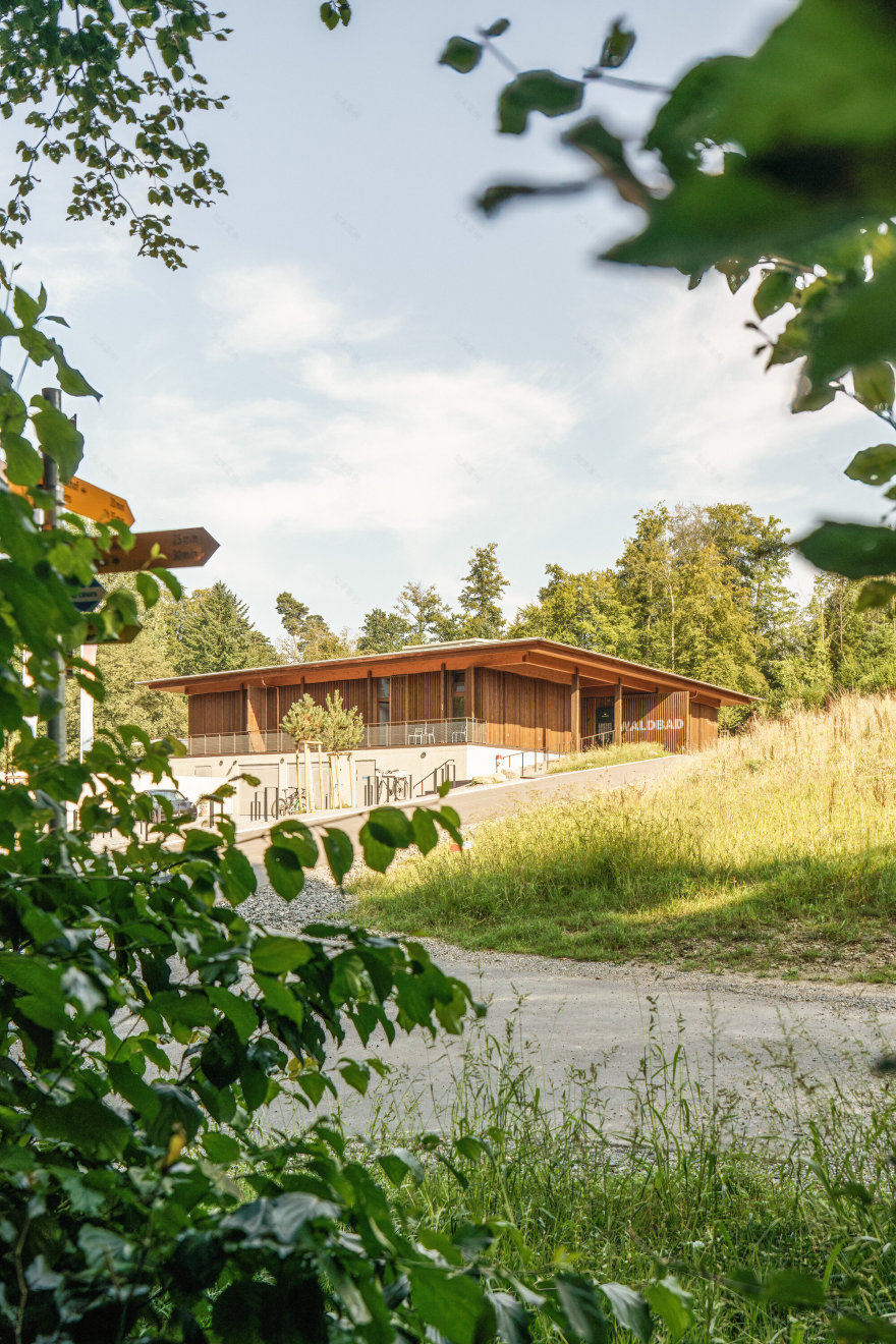 森林泳池齐默格格丨瑞士卢塞恩丨Brechbuehler Walser Architekten-17
