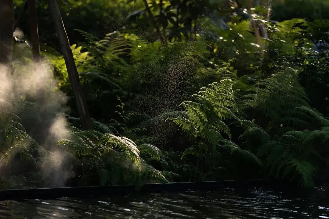 西投绿城·杭州云澜谷丨中国杭州丨ZSD卓时-67