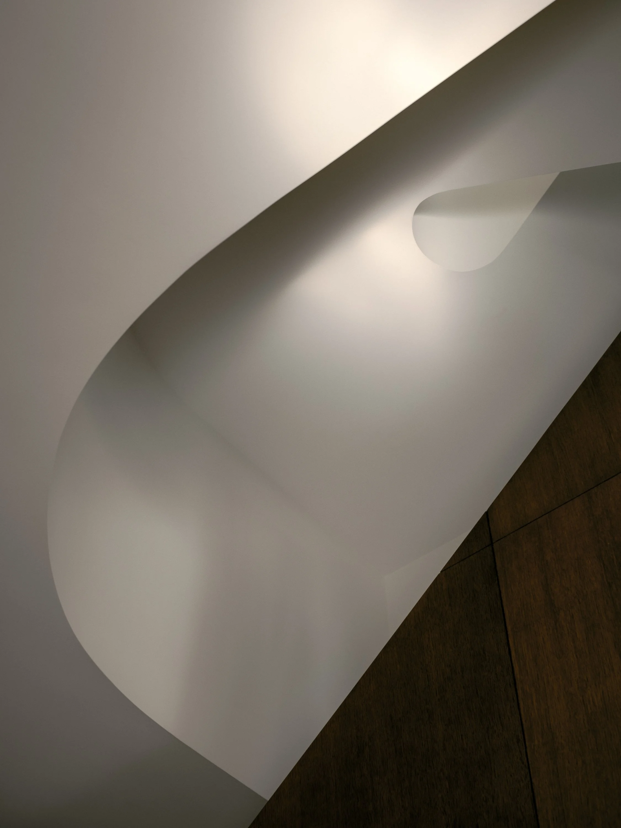 Rathnelly House改造项目丨加拿大多伦多丨VAARO Studio-43