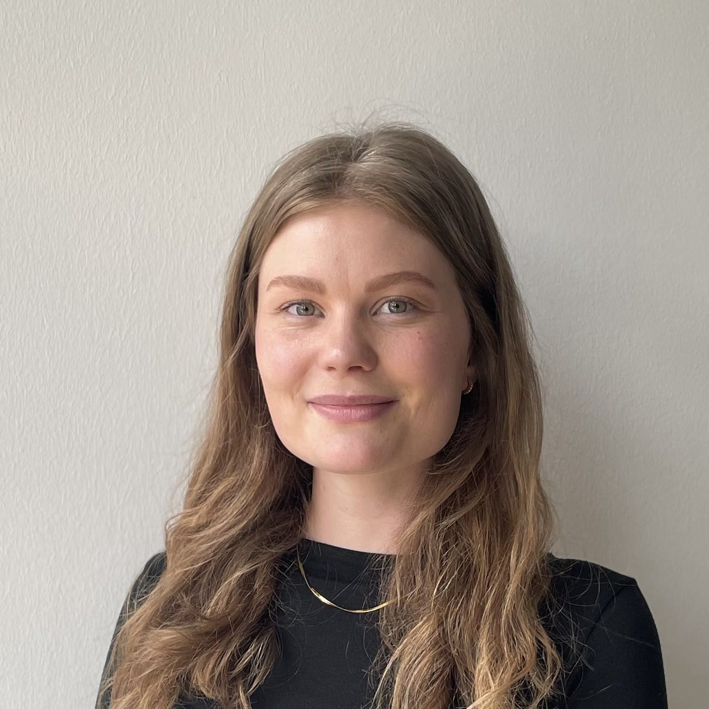 巴黎高速公路上的木桥丨法国巴黎-1