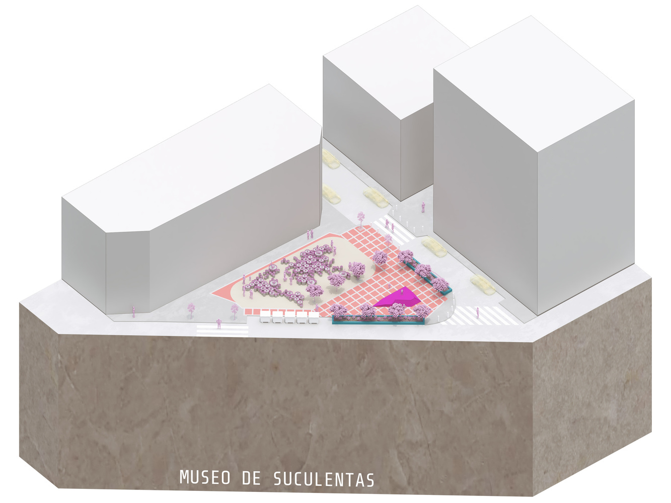 废弃停车场变身为城市绿洲 · Murcia Succulents 博物馆-30