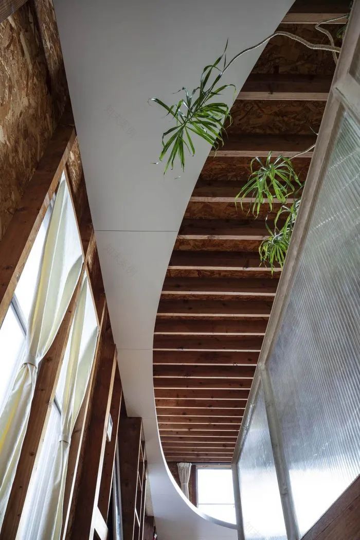 Ceiling and Ellipse 之家改造丨日本丨MURAYAMA + KATO ARCHITECTURE-14