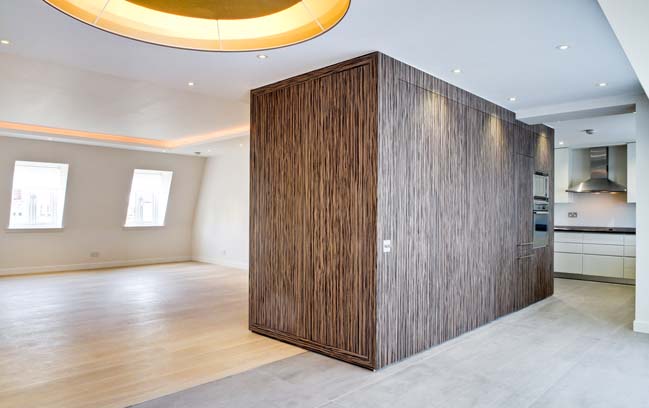 旧公寓改豪华顶层公寓丨Daniel Hopwood Studio-14