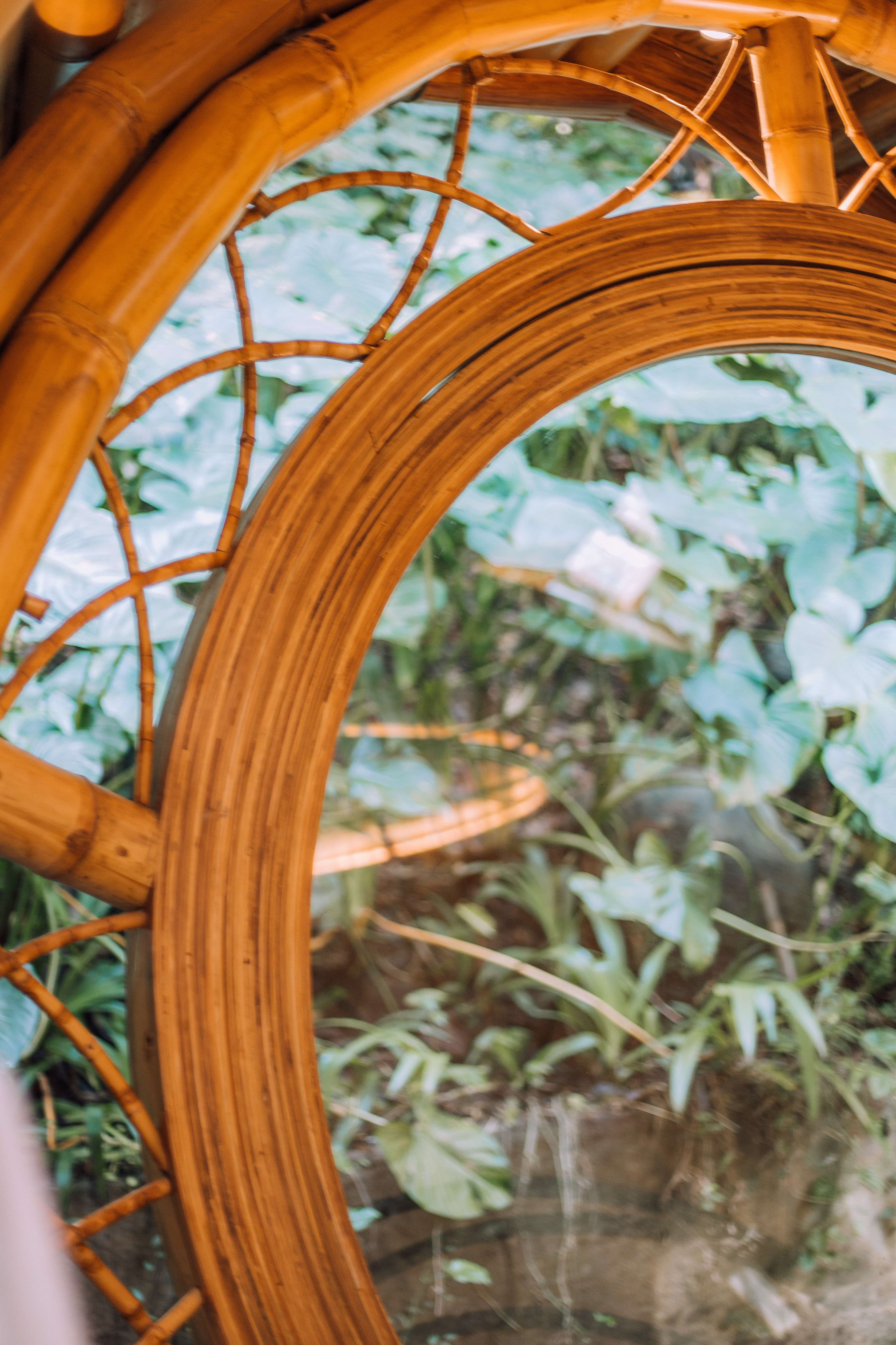 藏身之处茧蛹丨Studio WNA-20