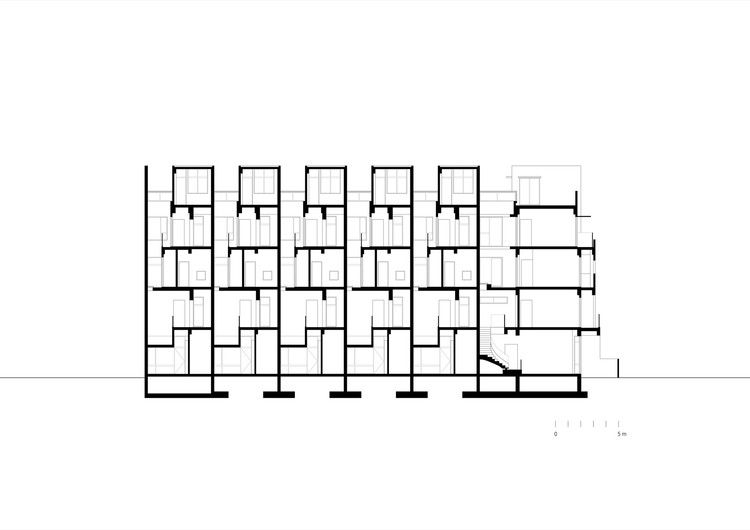 Garden Studio Gym in North London EASTWEST ARCHITECTURE-19