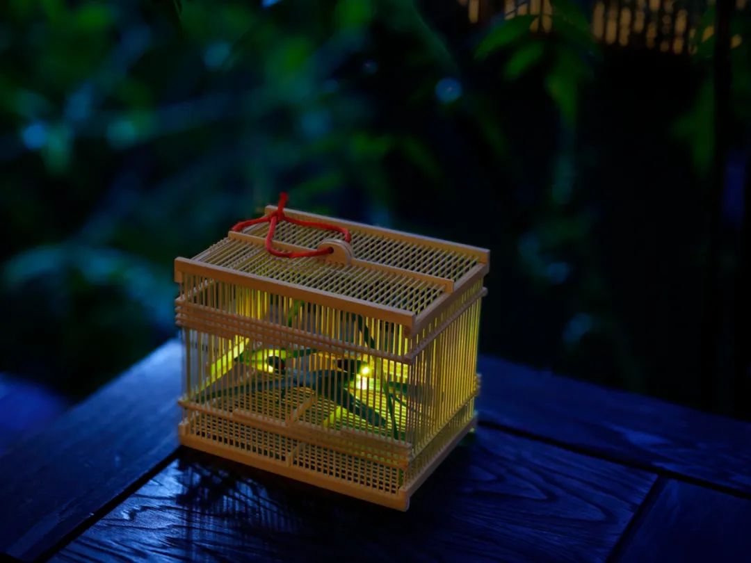 京都虹夕诺雅度假酒店丨日本京都丨Azuma Architect(东环境建筑事务所)-38