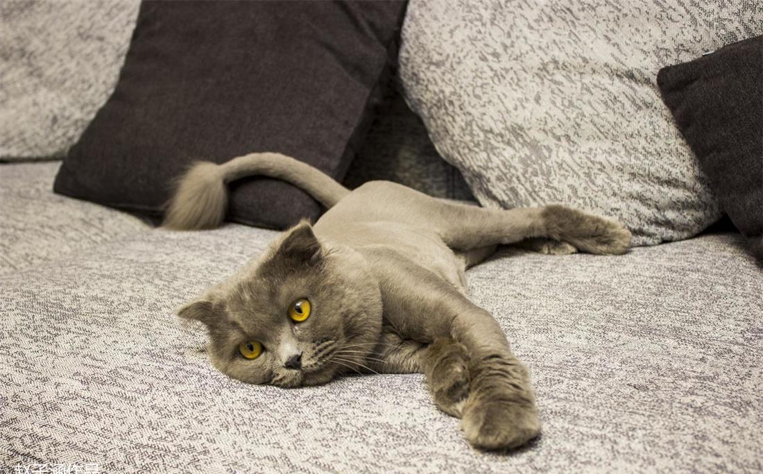 香邑溪谷后现代家居设计解析-11