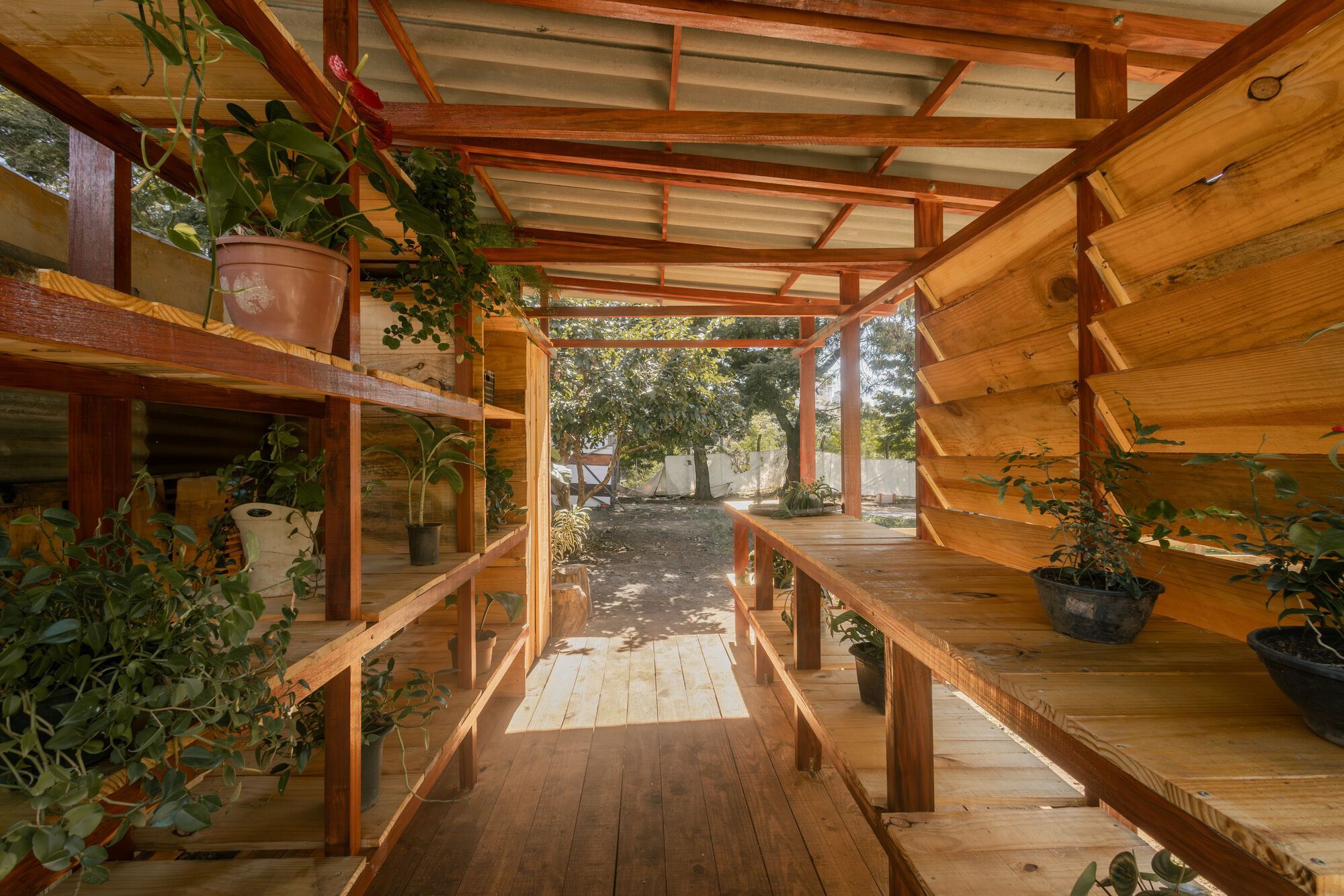 生态箱种子屋丨巴西丨PFLEX Escola de Arquitetura UFMG-30