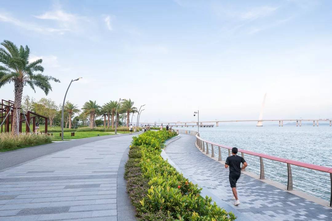 深圳湾蛇口休闲带景观-33