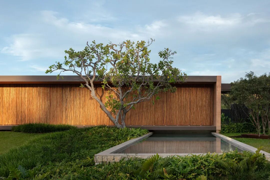 TaipaHouse，巴西利亚/土筑栖居诗-7