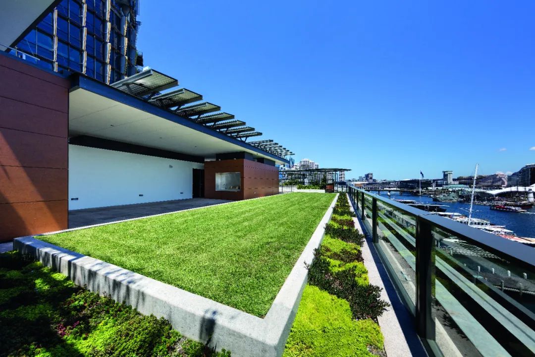 悉尼滨水R9住宅丨澳大利亚悉尼丨PTW Architects-31