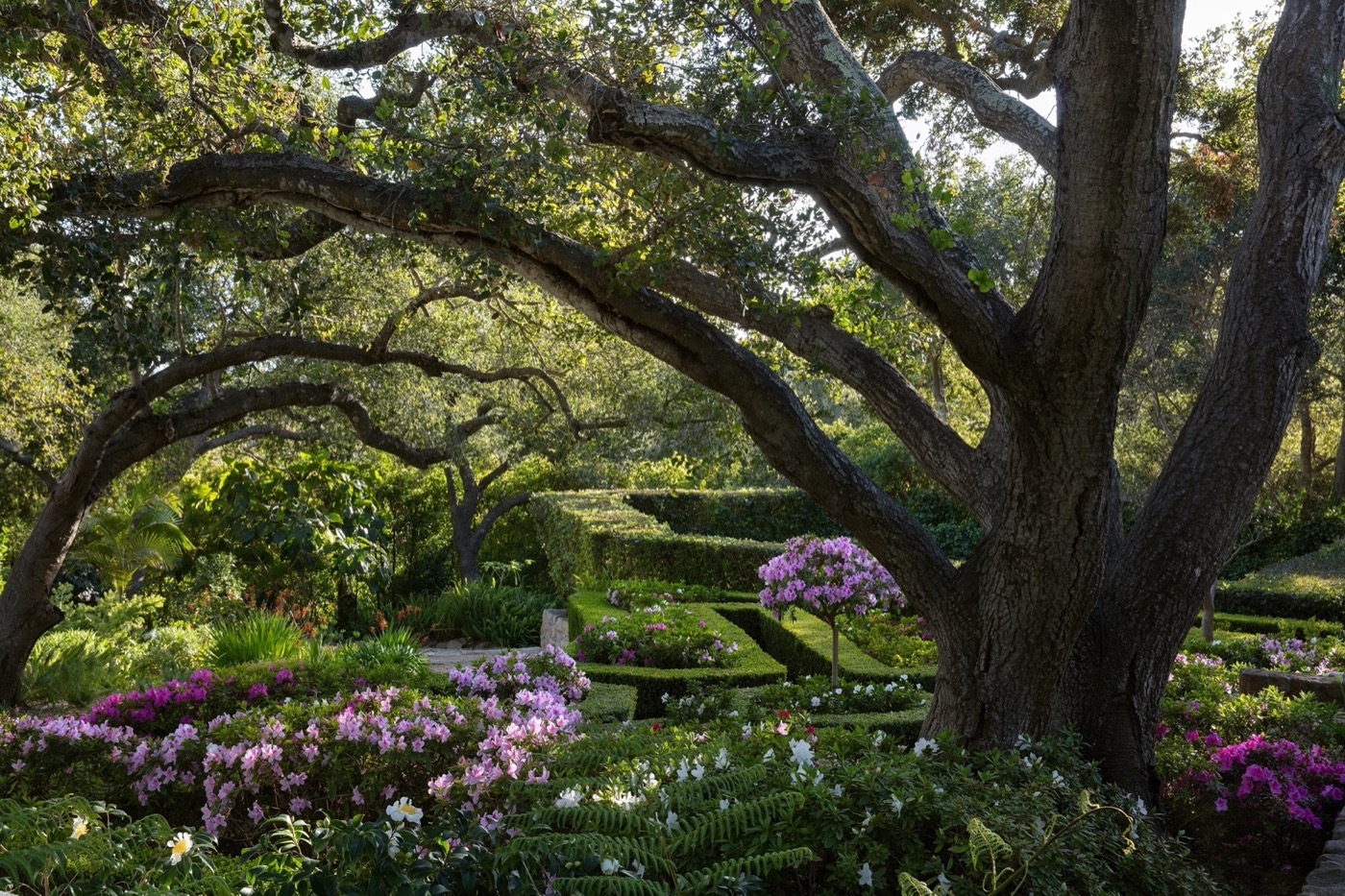 加州 Montecito 的 Mariposa Gardens丨RIOS-21