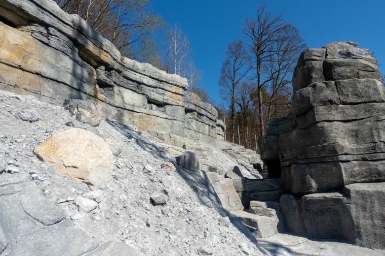 Weber + Brönnimann Landschaftsarchitekten AG丨«Aare-Alpen» Steinwildanlage Tierpark Dählhölzli丨瑞士-3